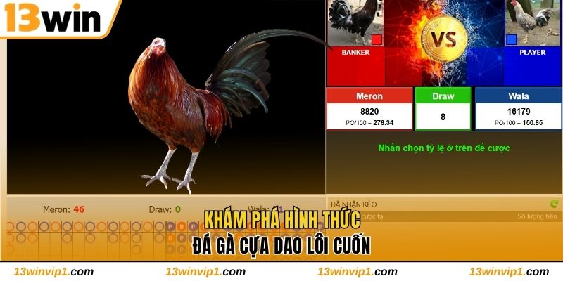 Khám phá hình thức đá gà cựa dao lôi cuốn